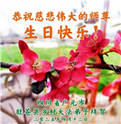 乡村大法弟子庆祝世界法轮大法日(18条)