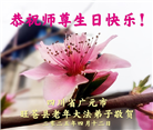 四川大法弟子庆祝世界法轮大法日(19条)