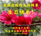 四川大法弟子庆祝世界法轮大法日(19条)