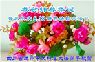 四川大法弟子庆祝世界法轮大法日(19条)
