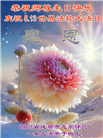 成都大法弟子庆祝世界法轮大法日(18条)