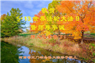 河南大法弟子庆祝世界法轮大法日(18条)