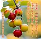 河南大法弟子庆祝世界法轮大法日(18条)
