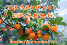 河南大法弟子庆祝世界法轮大法日(18条)