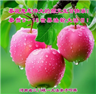 河南大法弟子庆祝世界法轮大法日(18条)
