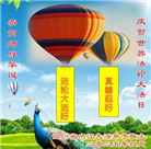 四川大法弟子庆祝世界法轮大法日(19条)