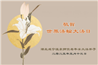 湖北大法弟子庆祝世界法轮大法日(18条)