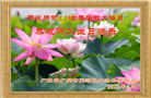 广州大法弟子庆祝世界法轮大法日(19条)