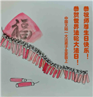 大陆大法弟子庆祝世界法轮大法日(25条)