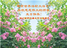 乡村大法弟子庆祝世界法轮大法日(18条)