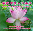 湖北大法弟子庆祝世界法轮大法日(19条)