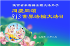 陕西大法弟子庆祝世界法轮大法日(19条)