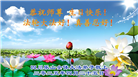 四川大法弟子庆祝世界法轮大法日(19条)