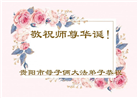 贵州大法弟子庆祝世界法轮大法日(19条)