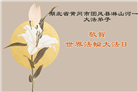 湖北大法弟子庆祝世界法轮大法日(18条)
