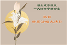 湖北大法弟子庆祝世界法轮大法日(18条)