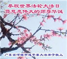 广东大法弟子庆祝世界法轮大法日(19条)