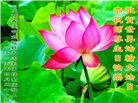 陕西大法弟子庆祝世界法轮大法日(19条)