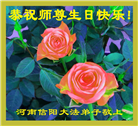 河南大法弟子庆祝世界法轮大法日(20条)