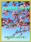 河南大法弟子庆祝世界法轮大法日(20条)