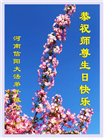 河南大法弟子庆祝世界法轮大法日(20条)