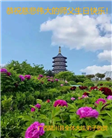 广西大法弟子庆祝世界法轮大法日(18条)