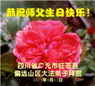 四川大法弟子庆祝世界法轮大法日(18条)