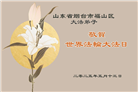 山东大法弟子庆祝世界法轮大法日(18条)