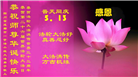 新学员庆祝世界法轮大法日(19条)
