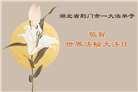 湖北大法弟子庆祝世界法轮大法日(18条)