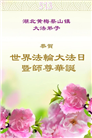 湖北大法弟子庆祝世界法轮大法日(18条)