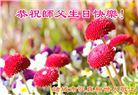 明真相世人庆祝世界法轮大法日(19条)