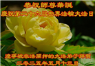 被非法关押的大法弟子庆祝世界法轮大法日(20条)