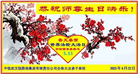 湖北大法弟子庆祝世界法轮大法日(19条)