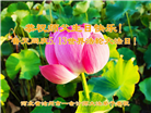 各行业大法弟子庆祝世界法轮大法日(27条)