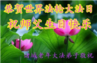 潍坊大法弟子庆祝世界法轮大法日(20条)