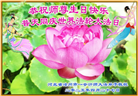 各行业大法弟子庆祝世界法轮大法日(27条)