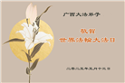 广西大法弟子庆祝世界法轮大法日(18条)