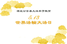 湖北大法弟子庆祝世界法轮大法日(18条)