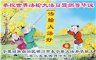 宁夏大法弟子庆祝世界法轮大法日(20条)