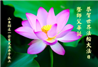 各行业大法弟子庆祝世界法轮大法日(27条)