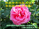 教育系统大法弟子庆祝世界法轮大法日(18条)