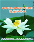 湖北大法弟子庆祝世界法轮大法日(20条)