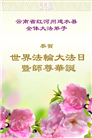 云南大法弟子庆祝世界法轮大法日(21条)