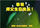 云南大法弟子庆祝世界法轮大法日(21条)