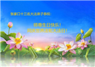 张家口大法弟子庆祝世界法轮大法日(20条)