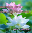 江苏大法弟子庆祝世界法轮大法日(19条)