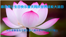 秦皇岛大法弟子庆祝世界法轮大法日(21条)