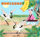 重庆大法弟子庆祝世界法轮大法日(19条)