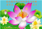 潍坊大法弟子庆祝世界法轮大法日(23条)